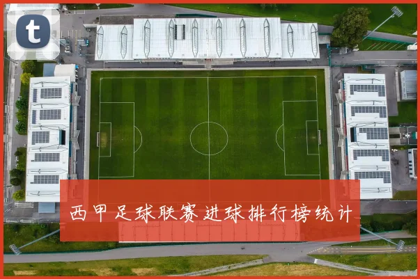 西甲足球联赛进球排行榜统计